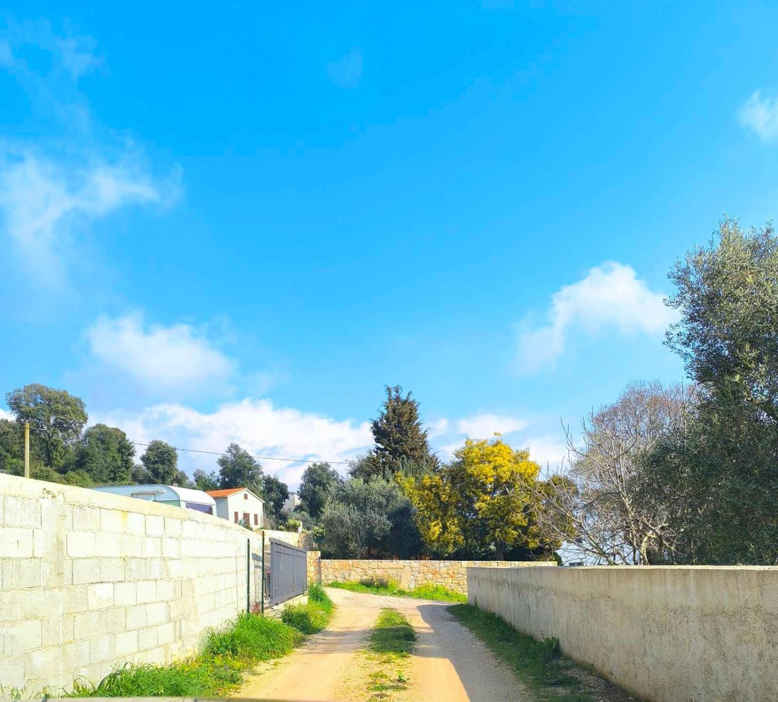 רוביני Apartman Sara מראה חיצוני תמונה